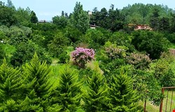 خرید زمین با 