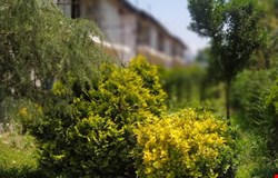 خرید زمین با 