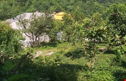 خرید زمین با 