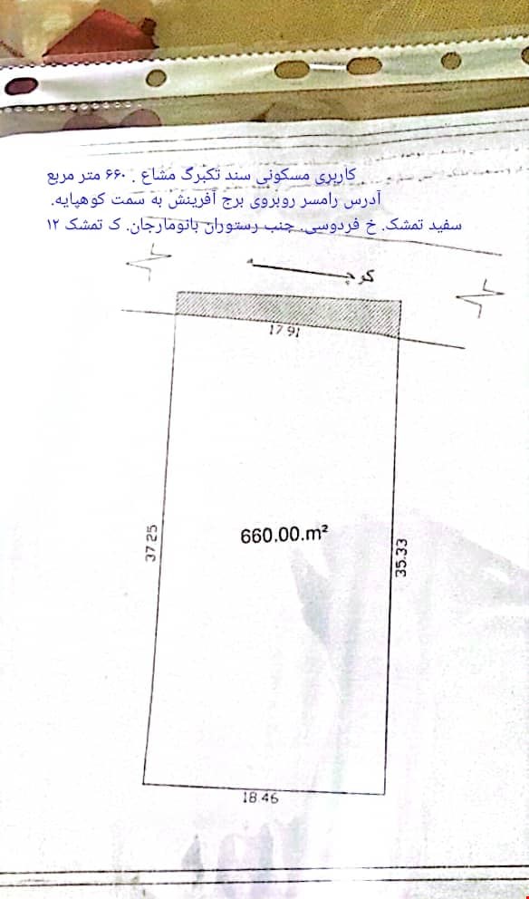 زمین سفید تمشک خانم رضی کاظمی
