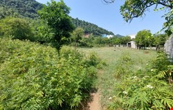 خرید زمین با 
