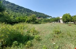 خرید زمین با 
