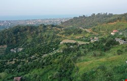 خرید زمین با 