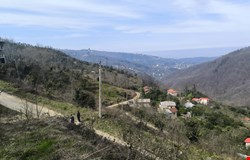 خرید زمین با 