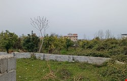 خرید زمین با 