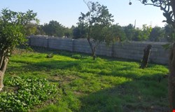 خرید زمین با 