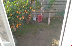 خرید زمین با 