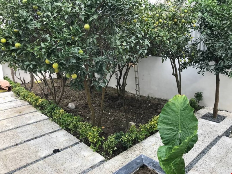 عزیز نیا خونه تعاونی