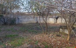 خرید  با 