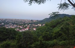 خرید زمین با 