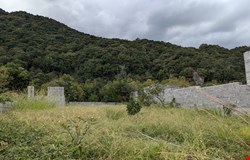 خرید زمین با 