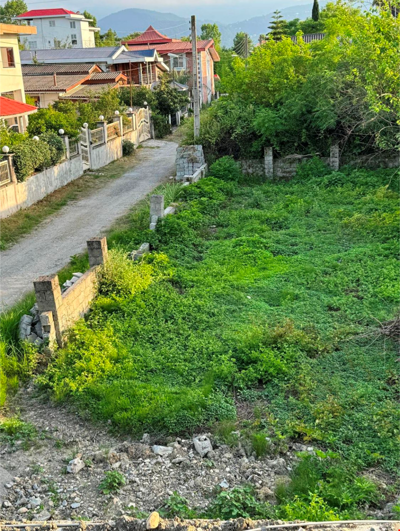 شرکت